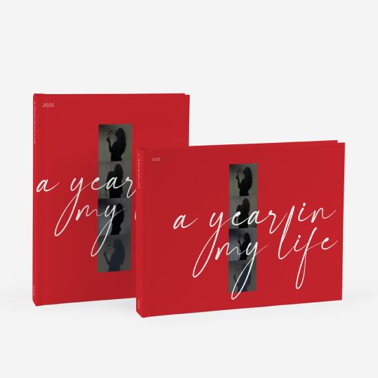 Álbum A Year in My Life 2